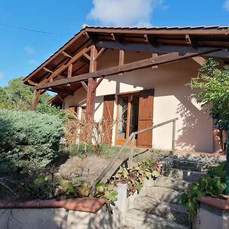 Maison Au Dessus Du Lac De Biscarrosse Bagian luar foto