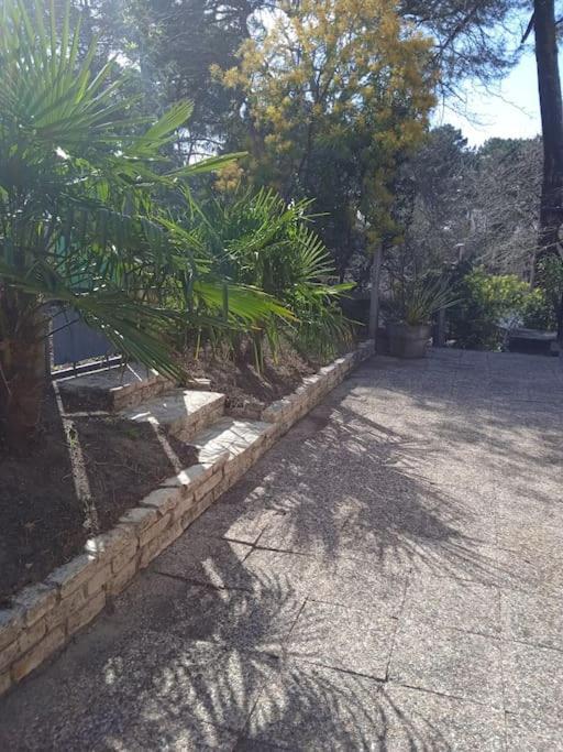 Maison Au Dessus Du Lac De Biscarrosse Bagian luar foto